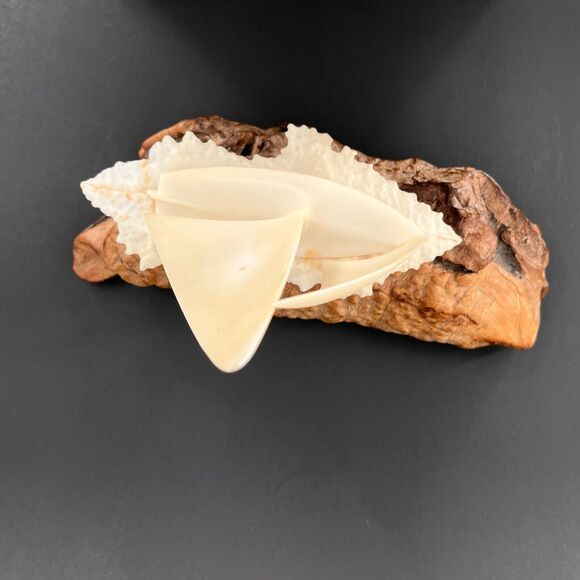 John Perry Sailboat Pullucida Burlwood Vintage MCM Signed - Picture 7 of 13